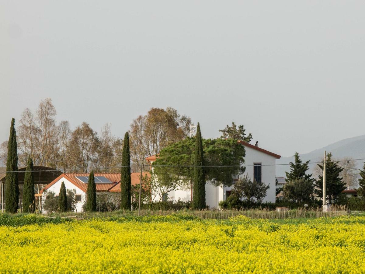B&B Podere684 格罗塞托 外观 照片