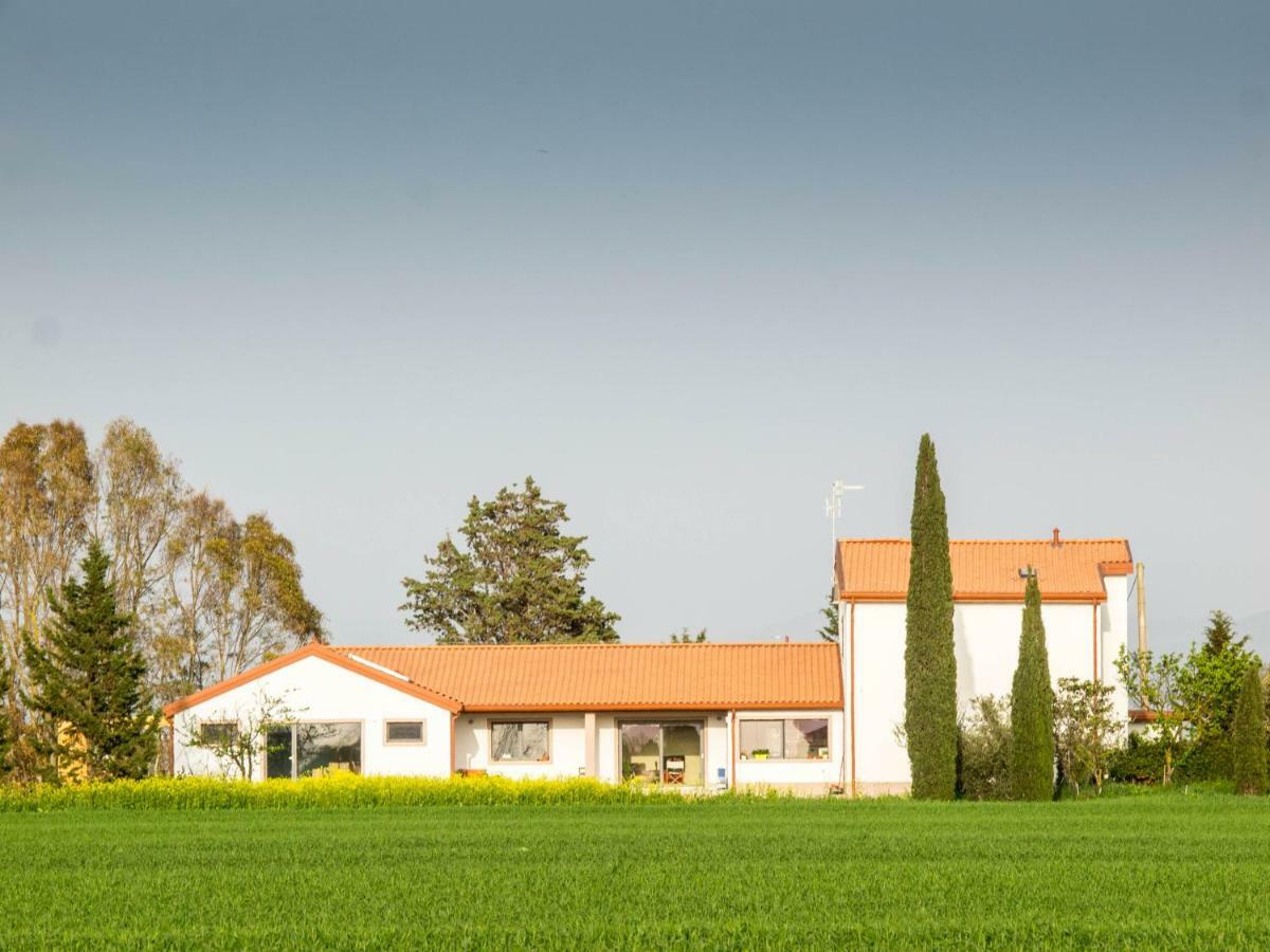 B&B Podere684 格罗塞托 外观 照片
